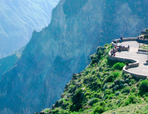 Tour por el Cañon del Colca, Cruz del Condor 4 Days