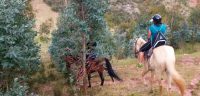 horse riding sacsayhuaman (6)