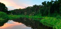 manu national park (3)